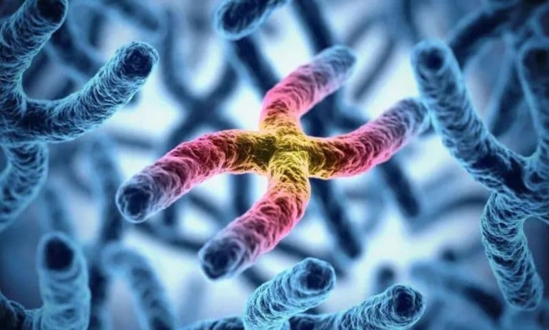 bất thường nhiễm sắc thể số 3