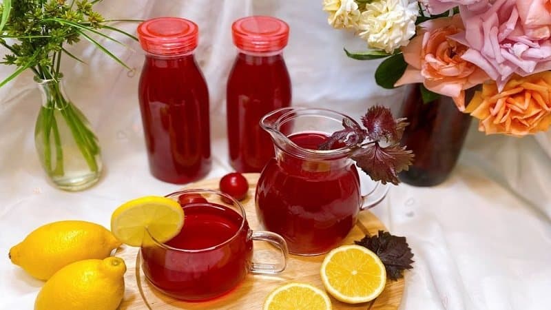 cách uống lá tía tô giảm mỡ bụng