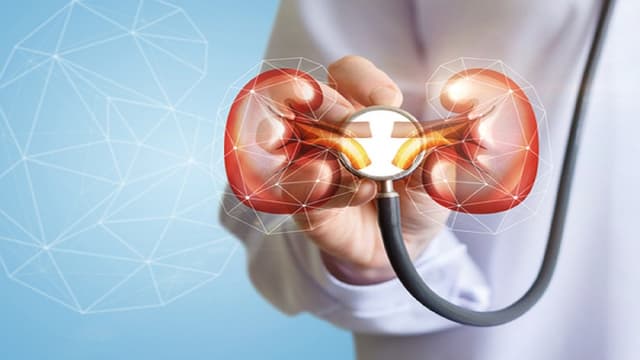 Sự tổn thương của các tế bào ống thận