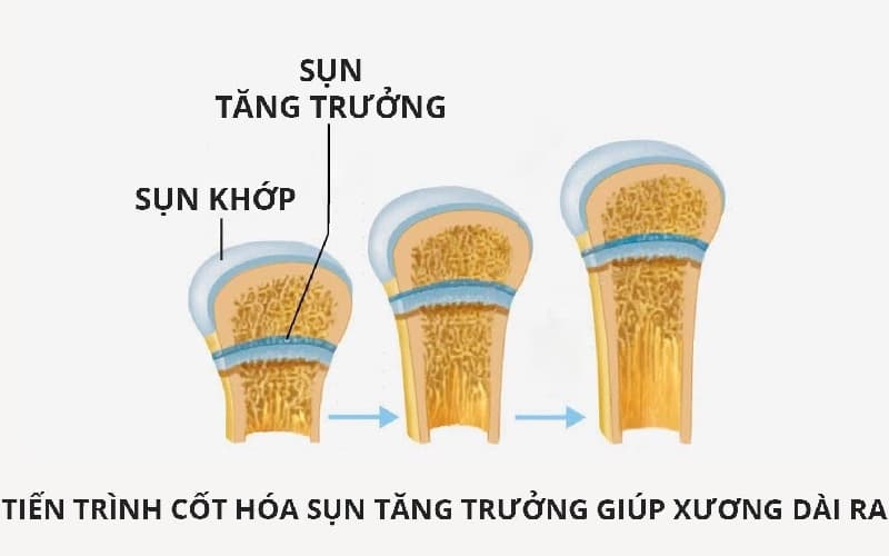 tăng chiều cao sau tuổi dậy thì