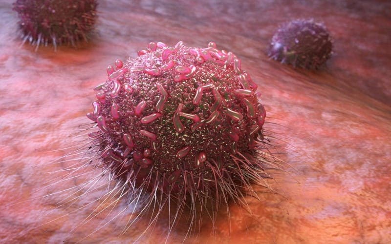 so sánh tế bào thường và tế bào ung thư