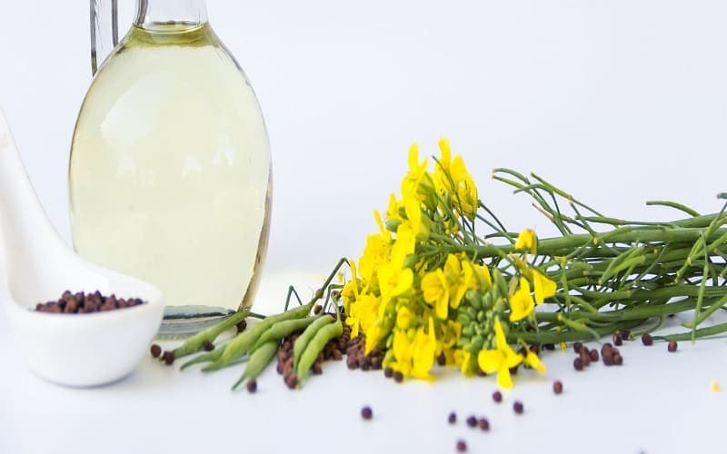 dầu hạt cải có chiên được không