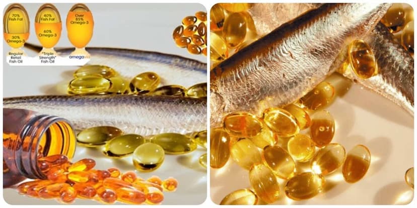 Uống dầu cá bao lâu thì nghỉ?