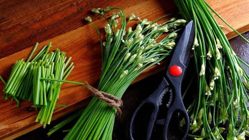hẹ có tốt cho người suy thận