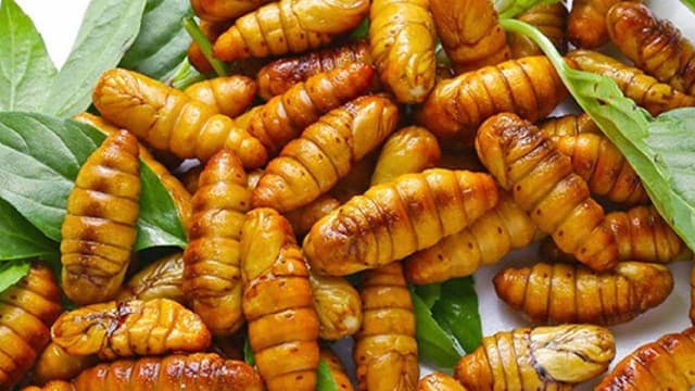 Ăn nhộng tằm bị dị ứng phải làm sao?