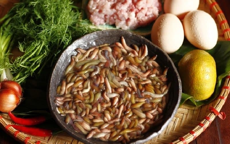 ăn rươi có bị dị ứng không
