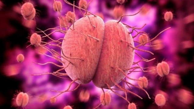 Bệnh chlamydia có chữa khỏi được không?