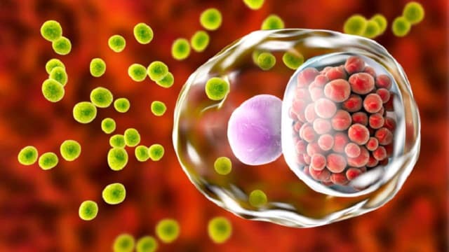 Bệnh chlamydia lây qua đường nào?