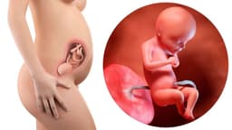 Bệnh giang mai bẩm sinh có chữa được không?