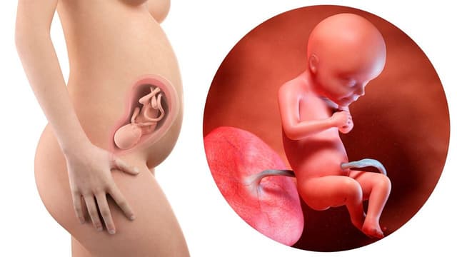 Bệnh giang mai bẩm sinh có chữa được không?