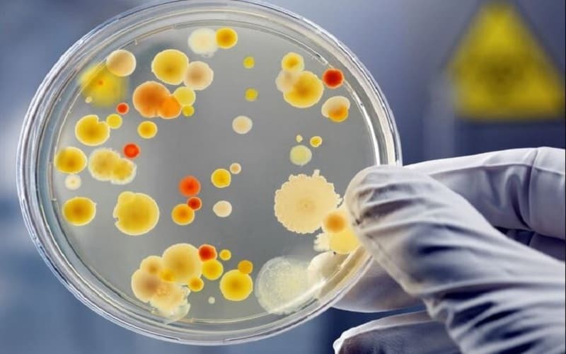 bệnh lậu xét nghiệm máu có ra không