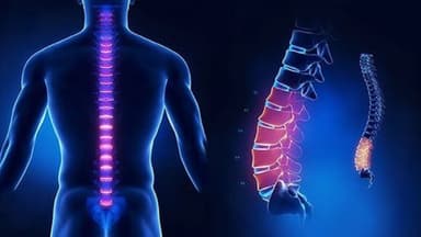 Bị đau lưng dưới gần mông ở nam giới, vì sao?