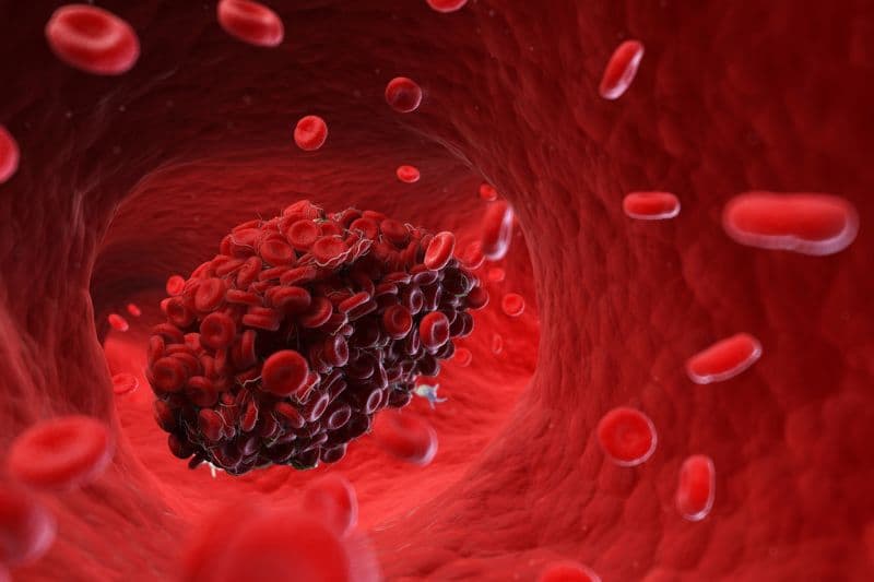 thời gian prothrombin là gì