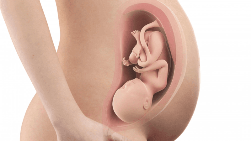 chiều dài xương đùi của thai nhi 37 tuần
