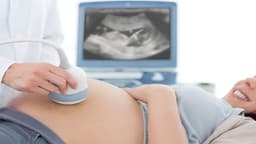Chiều dài xương mũi thai nhi 27 tuần
