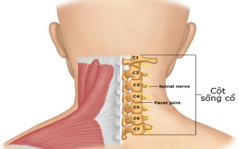 tê yếu chân tay sau khi mổ đốt sống cổ