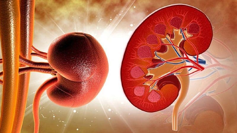 đi tiểu nhiều có phải suy thận không
