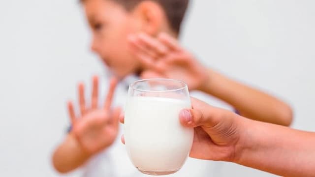 Bé dị ứng đạm bò uống sữa dê được không?
