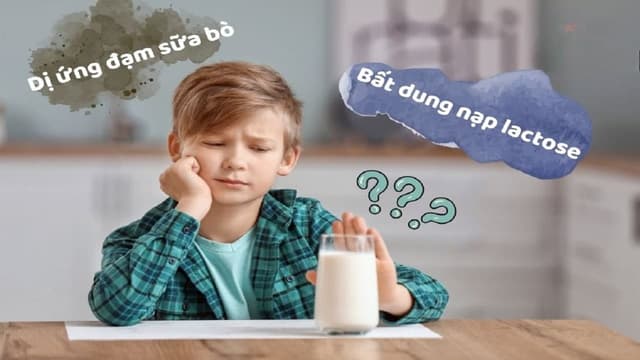 Dị ứng lactose và dị ứng đạm bò có giống nhau không?