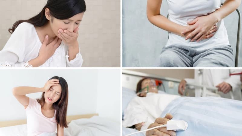 ăn sứa có bị dị ứng không