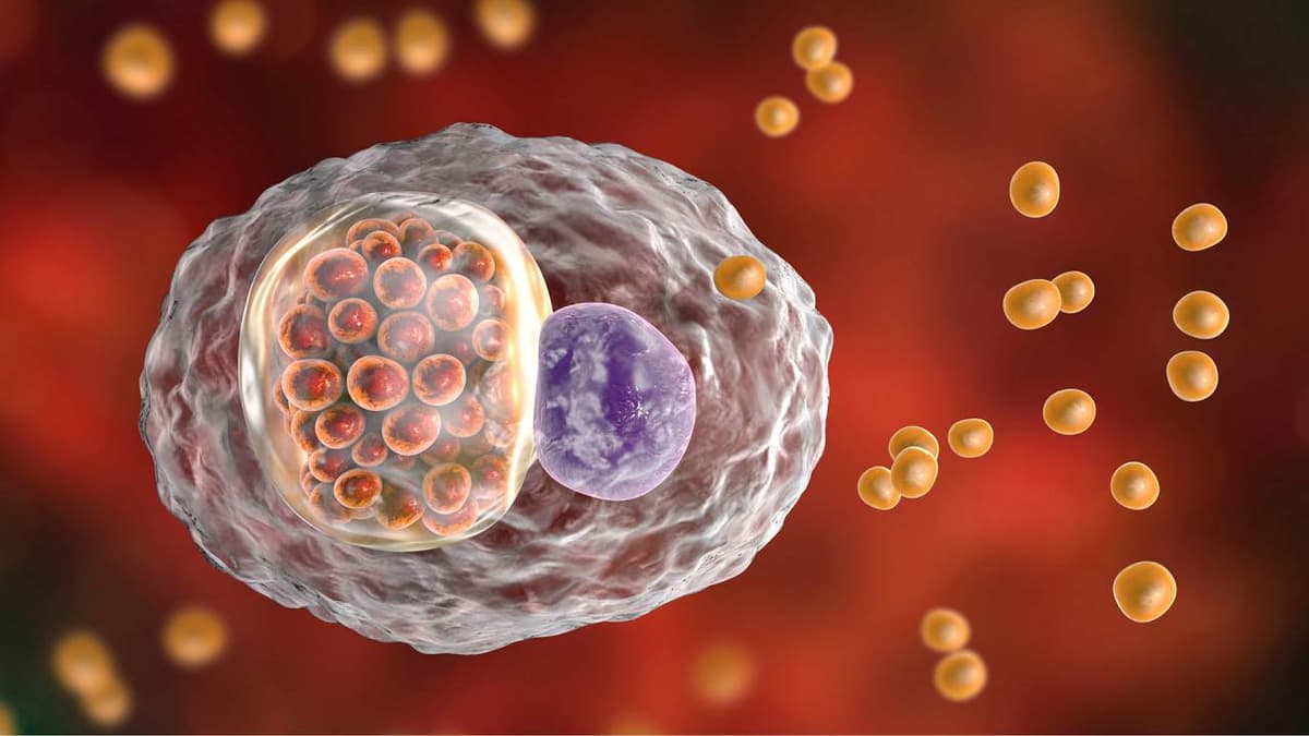 Điều trị Chlamydia trong bao lâu?