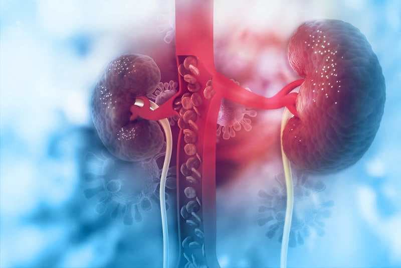 uống thuốc dị ứng có hại thận không
