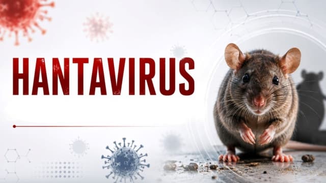 Hantavirus là bệnh gì?