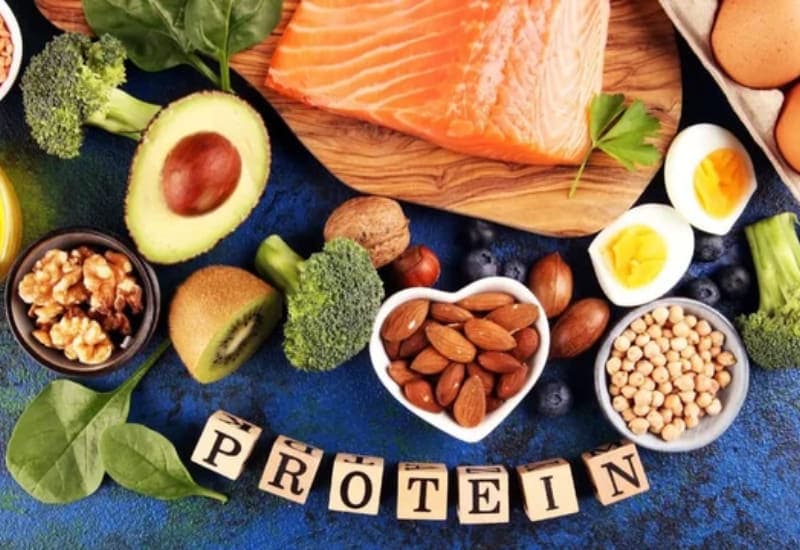 protein có điều hòa quá trình trao đổi chất không