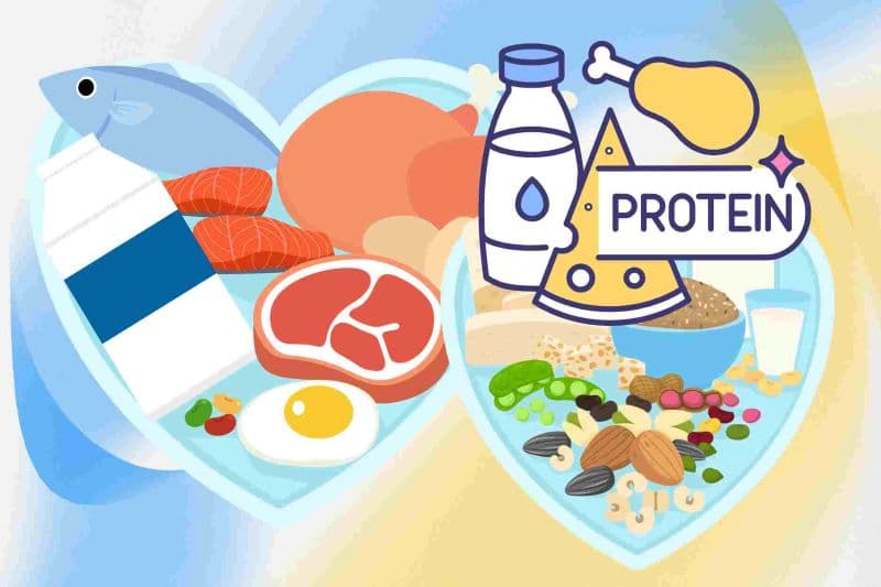 protein có điều hòa quá trình trao đổi chất không