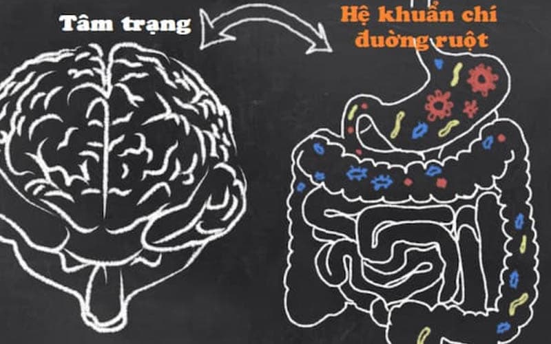 suy nghĩ nhiều có đau dạ dày không