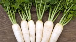 Bị suy thận có ăn được củ cải trắng không?