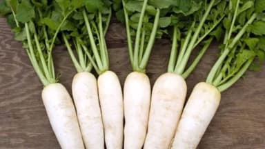 Bị suy thận có ăn được củ cải trắng không?