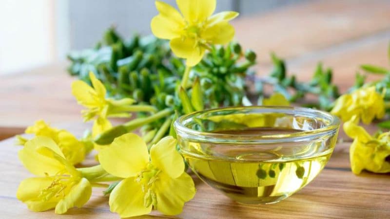 uống tinh dầu hoa anh thảo đúng cách