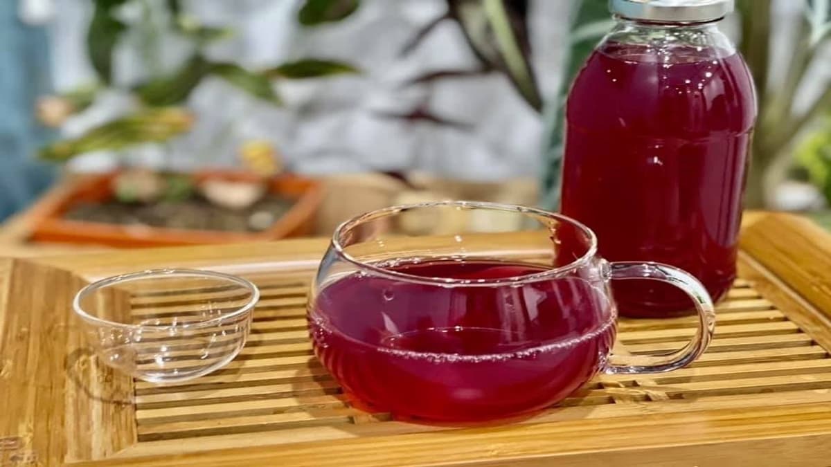 Uống nước lá tía tô có tác dụng gì?