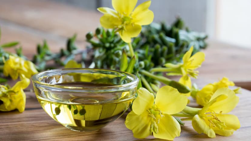 Hướng dẫn uống tinh dầu hoa anh thảo đúng cách