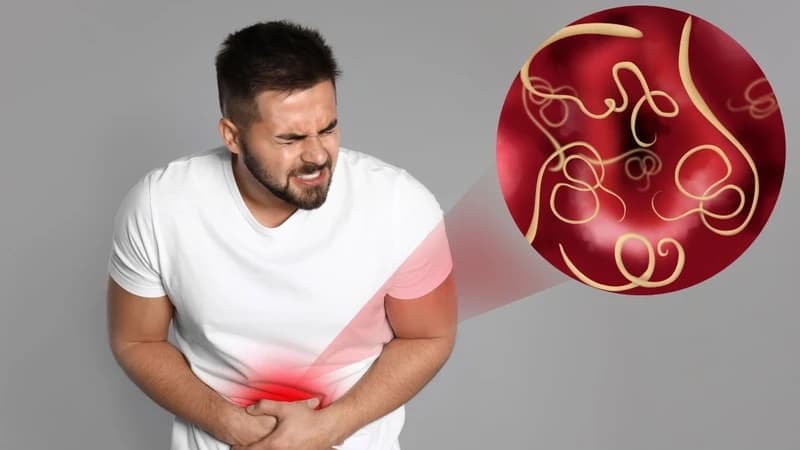 salmonella typhimurium là vi khuẩn gây bệnh gì