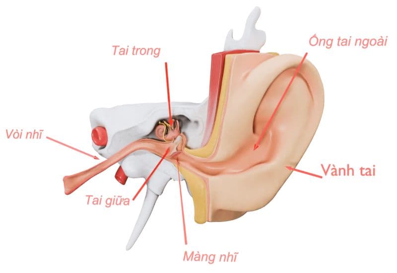 viêm tắc vòi nhĩ có nguy hiểm không