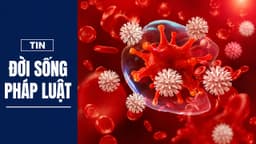 Giải mã công nghệ Endocyto 520x