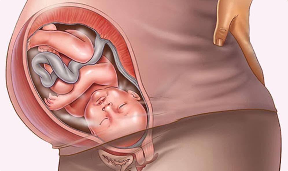 bầu 37 tuần bị viêm phụ khoa