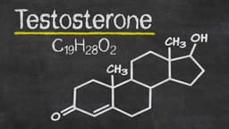 Chỉ số testosterone của nam giới thế nào là bất thường