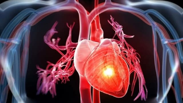 Dấu hiệu của bệnh hở van tim 2 lá