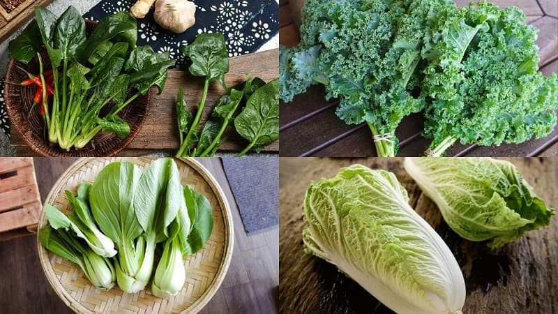 suy thận có ăn được rau cải xanh không