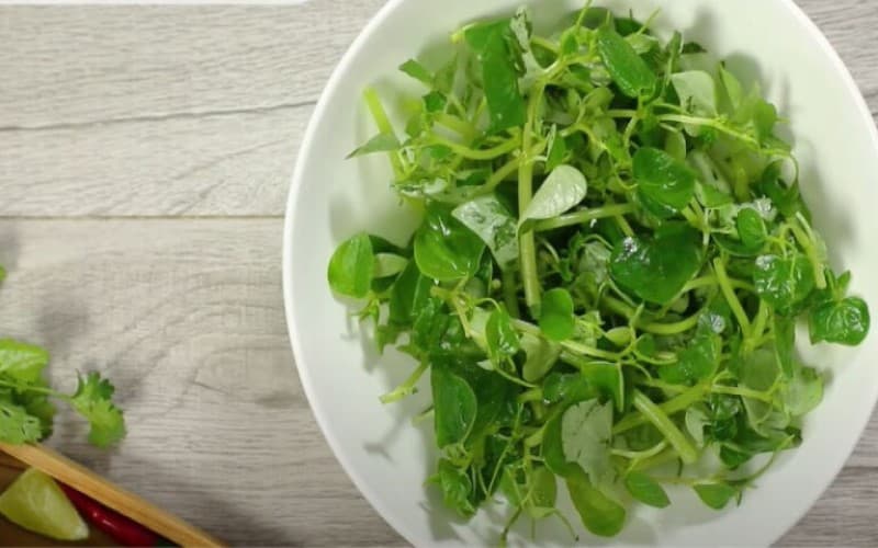 suy thận ăn rau càng cua được không