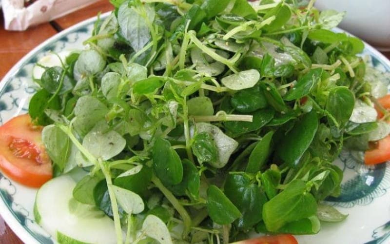 suy thận ăn rau càng cua được không