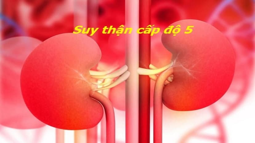 Suy thận giai đoạn 5 có chữa được không?