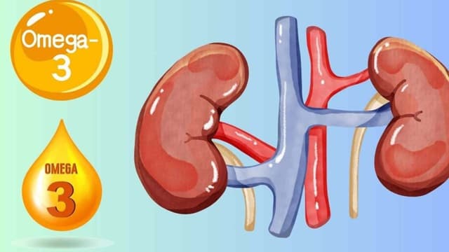 Suy thận uống omega 3 được không?