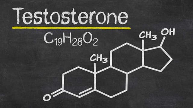 Testosterone là gì? Vai trò và nguồn gốc của hormone testosterone nam