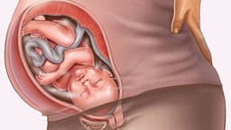 Bầu 37 tuần bị viêm phụ khoa có nguy hiểm?