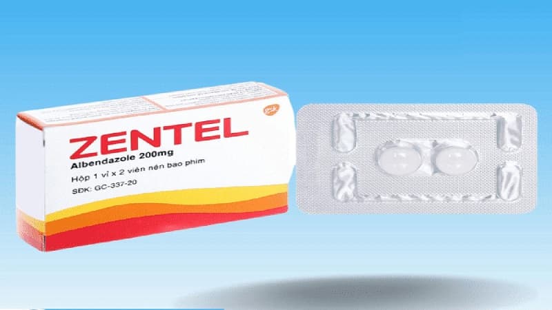 dấu hiệu bệnh sán chó mèo ở người