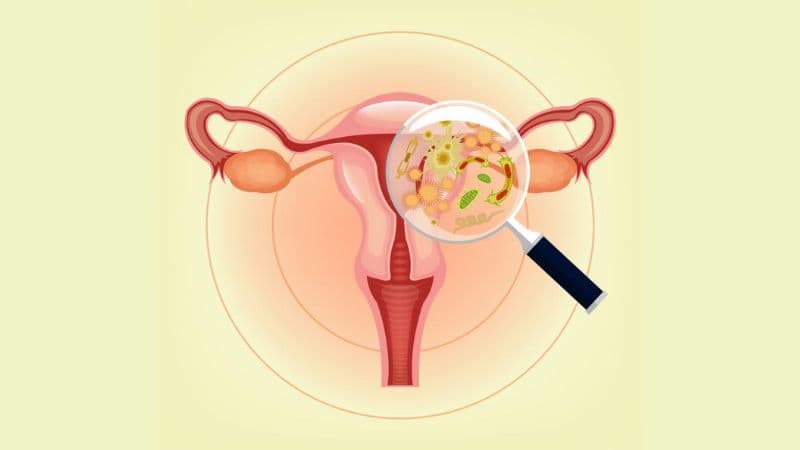 uống kháng sinh bị viêm phụ khoa